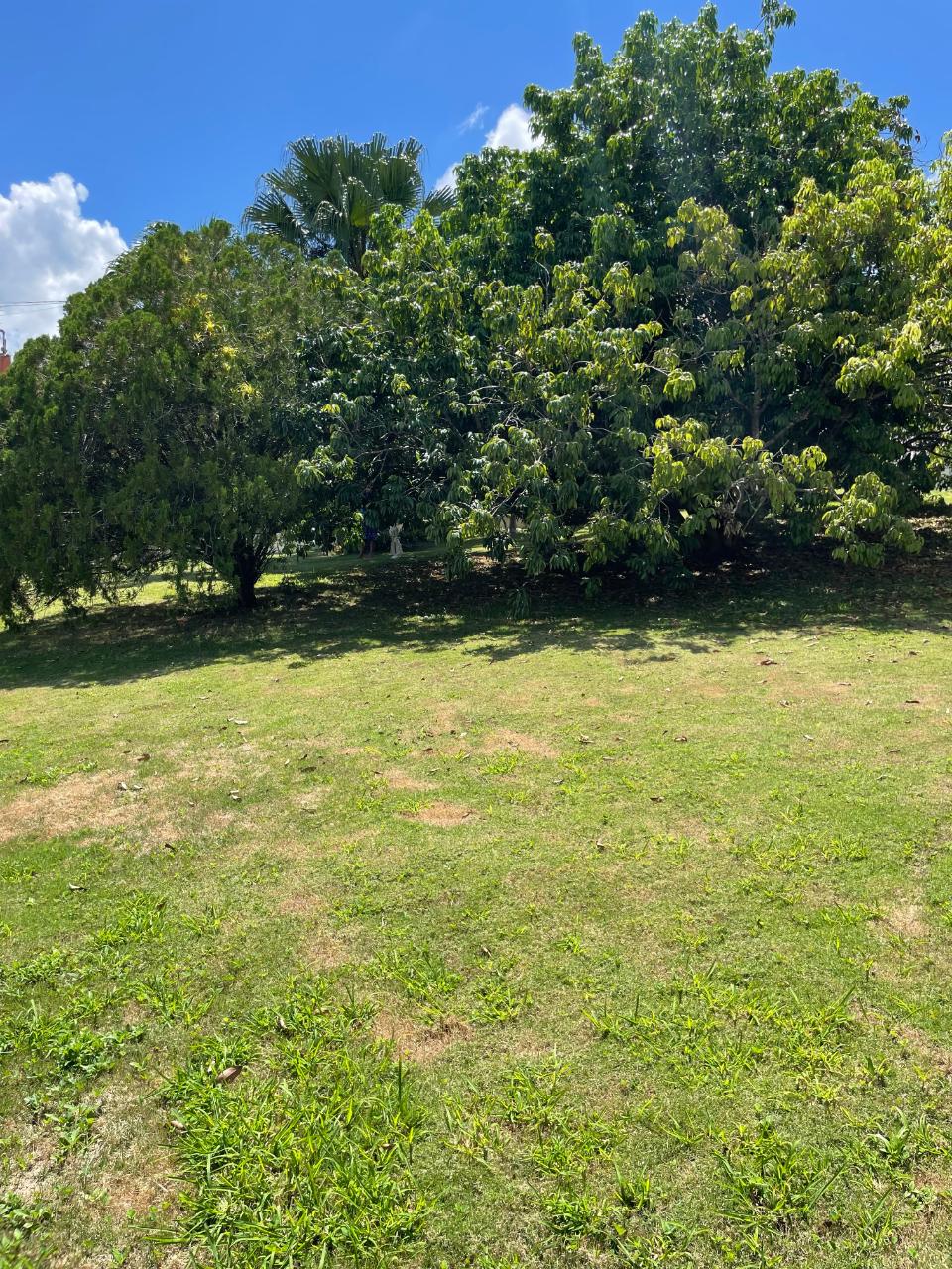 Seventeenth image of Lot 130 Glen Way in Mandeville, Manchester, Jamaica - property is For Sale
