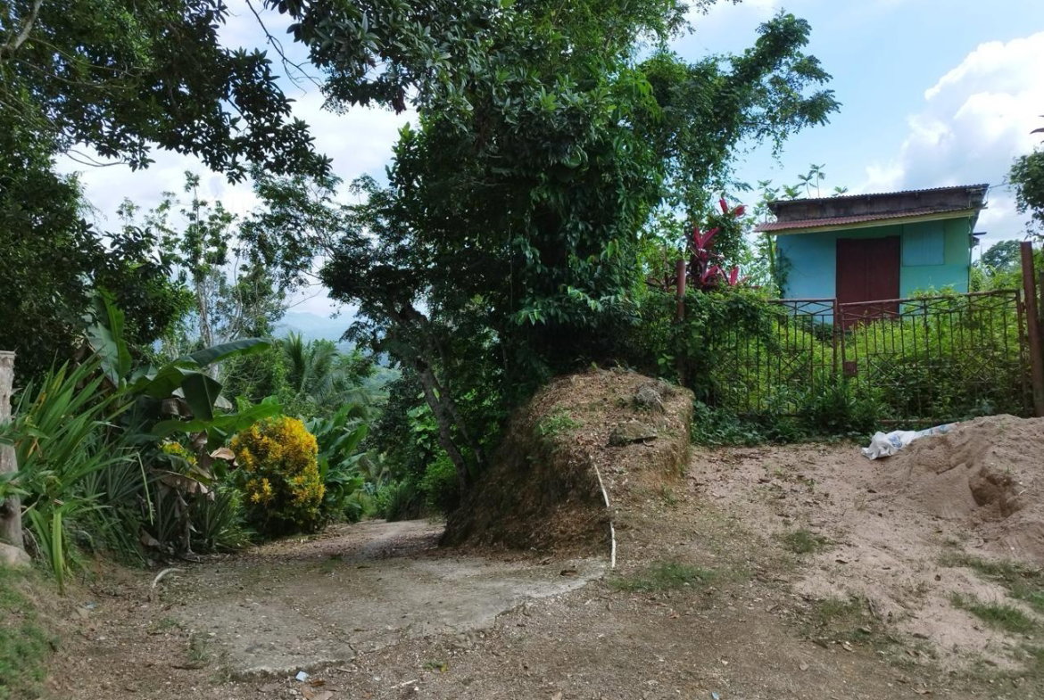 Fourth image of Sandy Hill, Glengoffe in Bog Walk, St. Catherine, Jamaica - property is For Sale