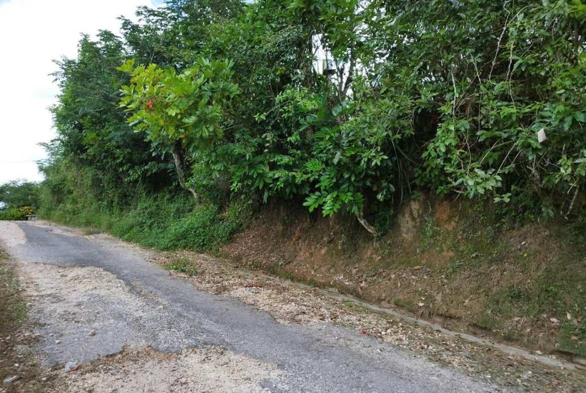 Ninth image of Sandy Hill, Glengoffe in Bog Walk, St. Catherine, Jamaica - property is For Sale