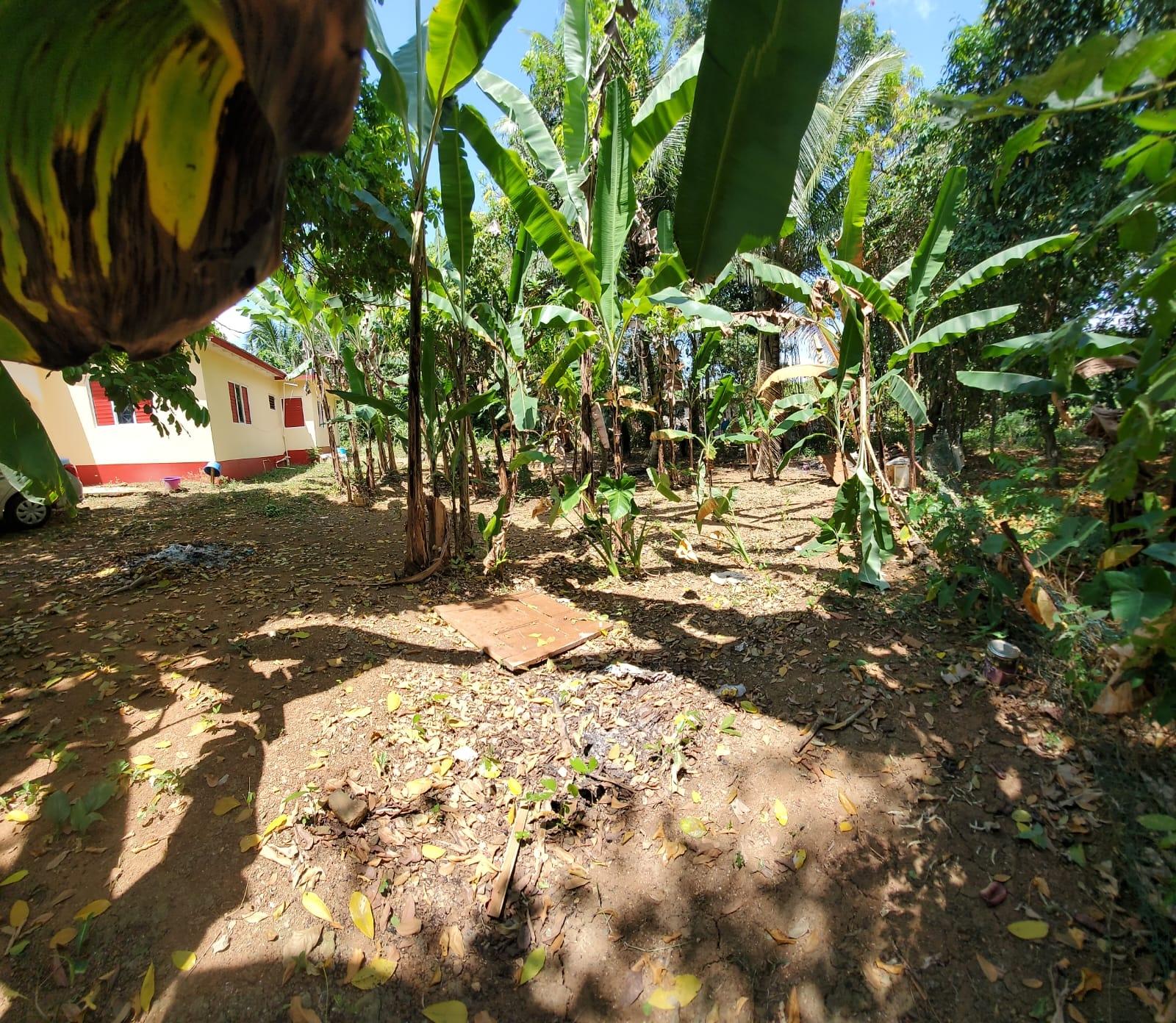 Seventh image of Part of Banbury in Banbury, St. Catherine, Jamaica - property is For Sale