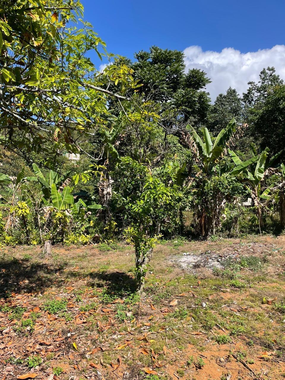 Third image of Bombay, Manchester in Bombay, Manchester, Jamaica - property is For Rent