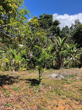 Third image of Bombay, Manchester in Bombay, Manchester, Jamaica - property is For Rent