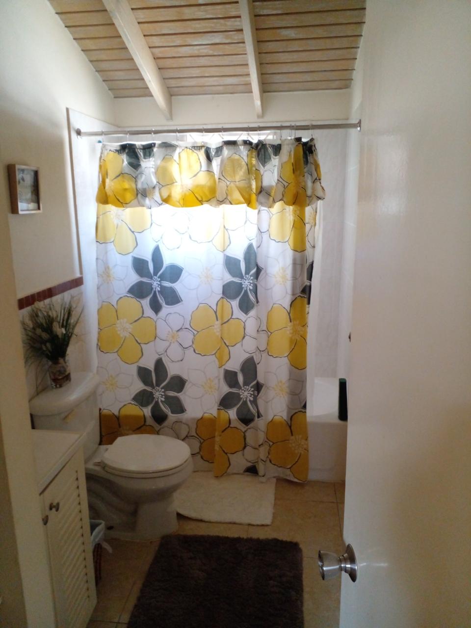 Eighteenth image of Florence Hall Village in Falmouth, Trelawny, Jamaica - property is For Rent