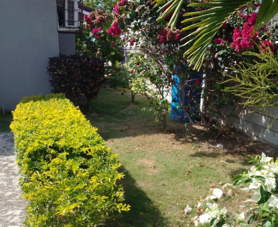 Twenty-Second image of Florence Hall Village in Falmouth, Trelawny, Jamaica - property is For Rent