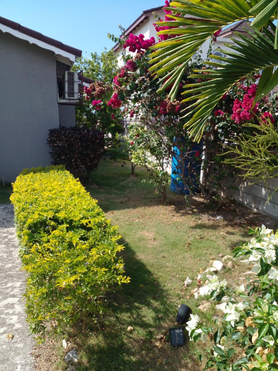Twenty-Second image of Florence Hall Village in Falmouth, Trelawny, Jamaica - property is For Rent