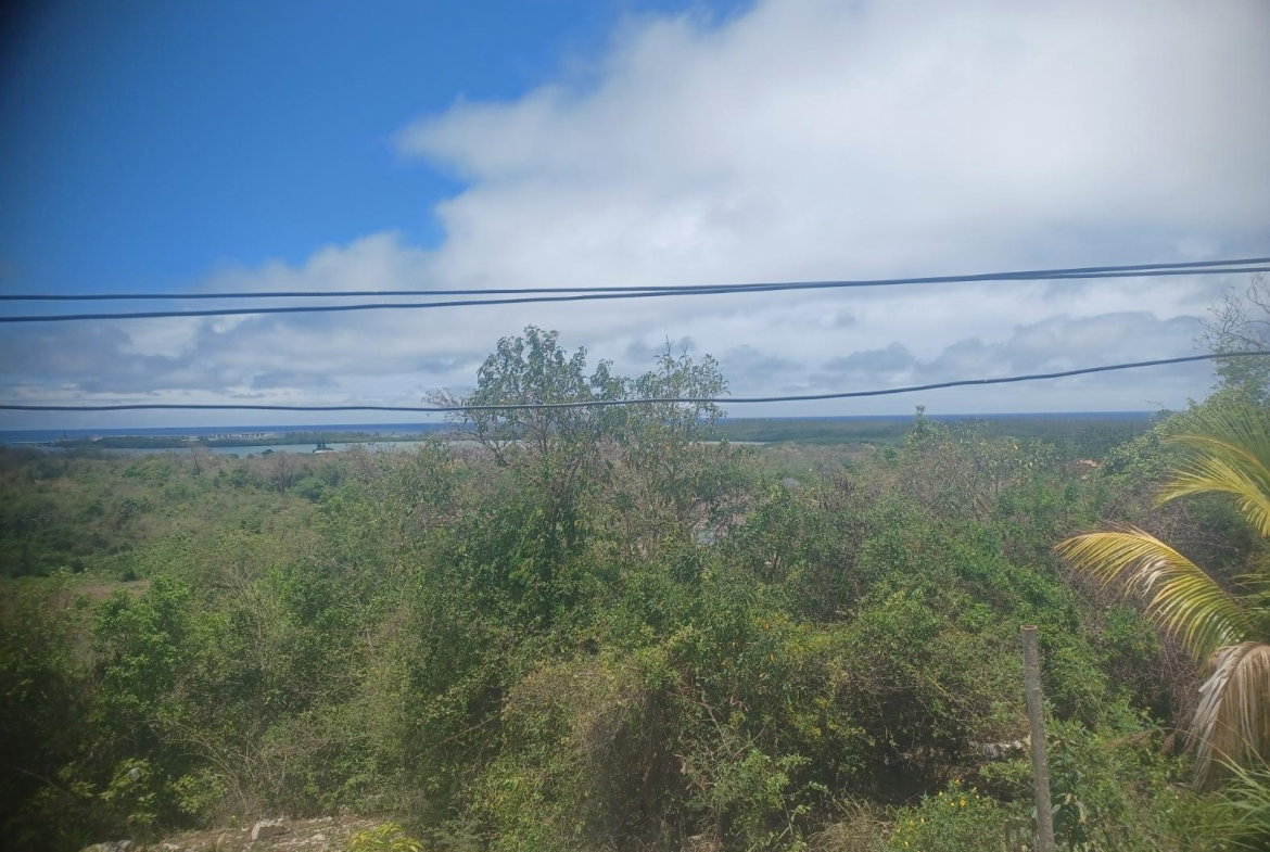Sixth image of 569 Osprey Ave in Falmouth, Trelawny, Jamaica - property is For Rent