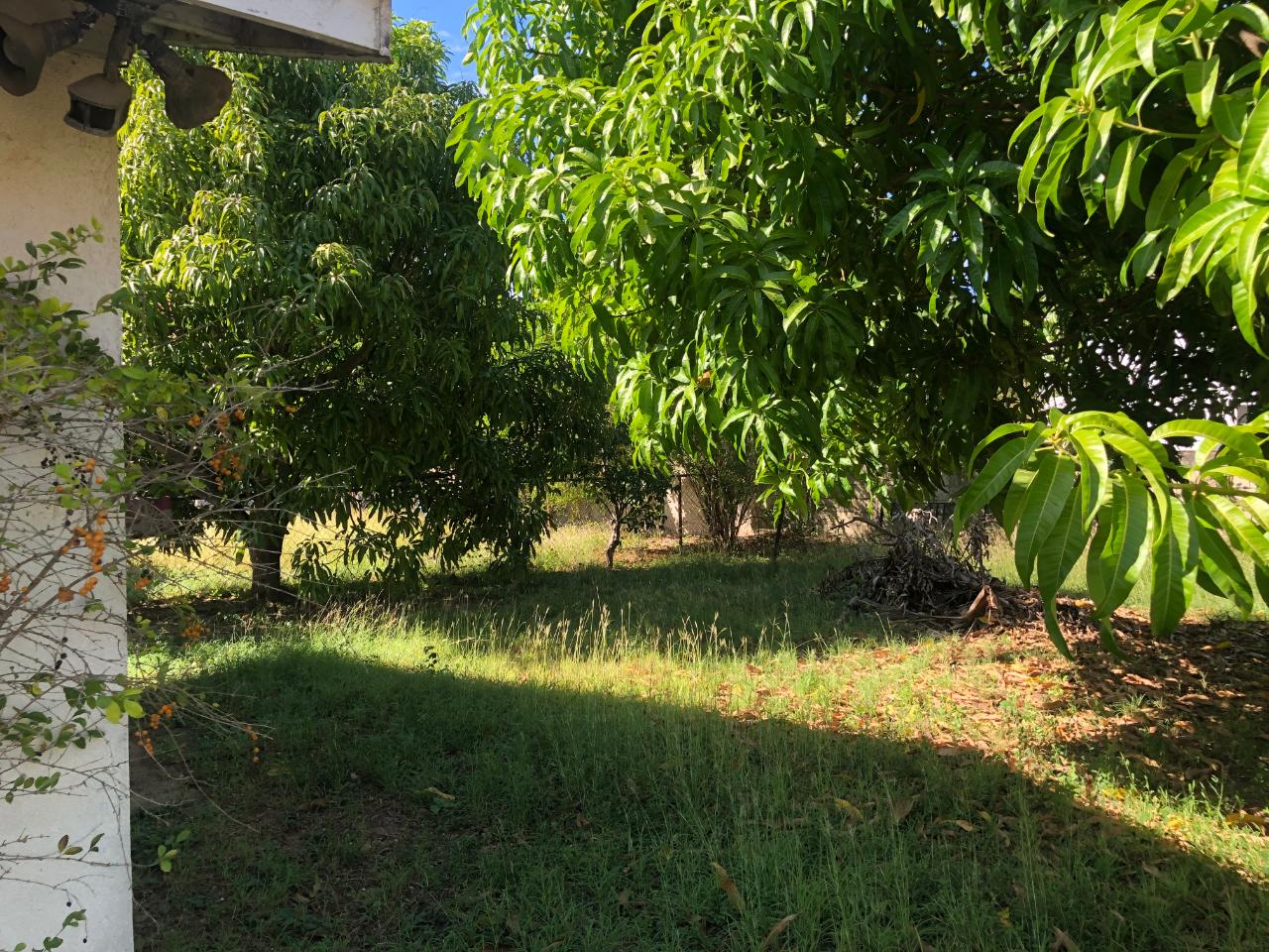 Eighth image of 60 Doctorbird Circle, in Old Harbour, St. Catherine, Jamaica - property is For Rent