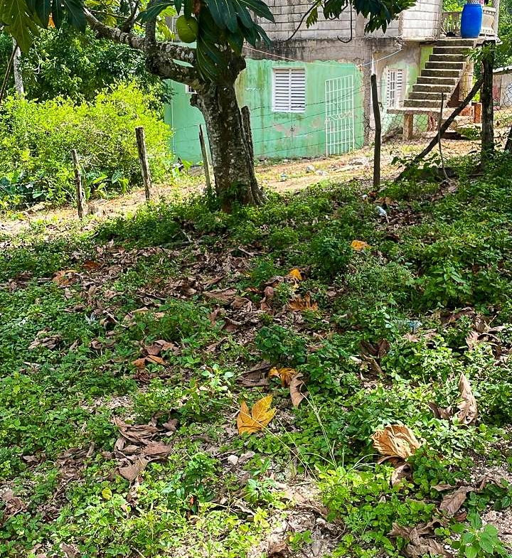 Fourteenth image of Bonavista, Santa Cruz in Santa Cruz, St. Elizabeth, Jamaica - property is For Sale