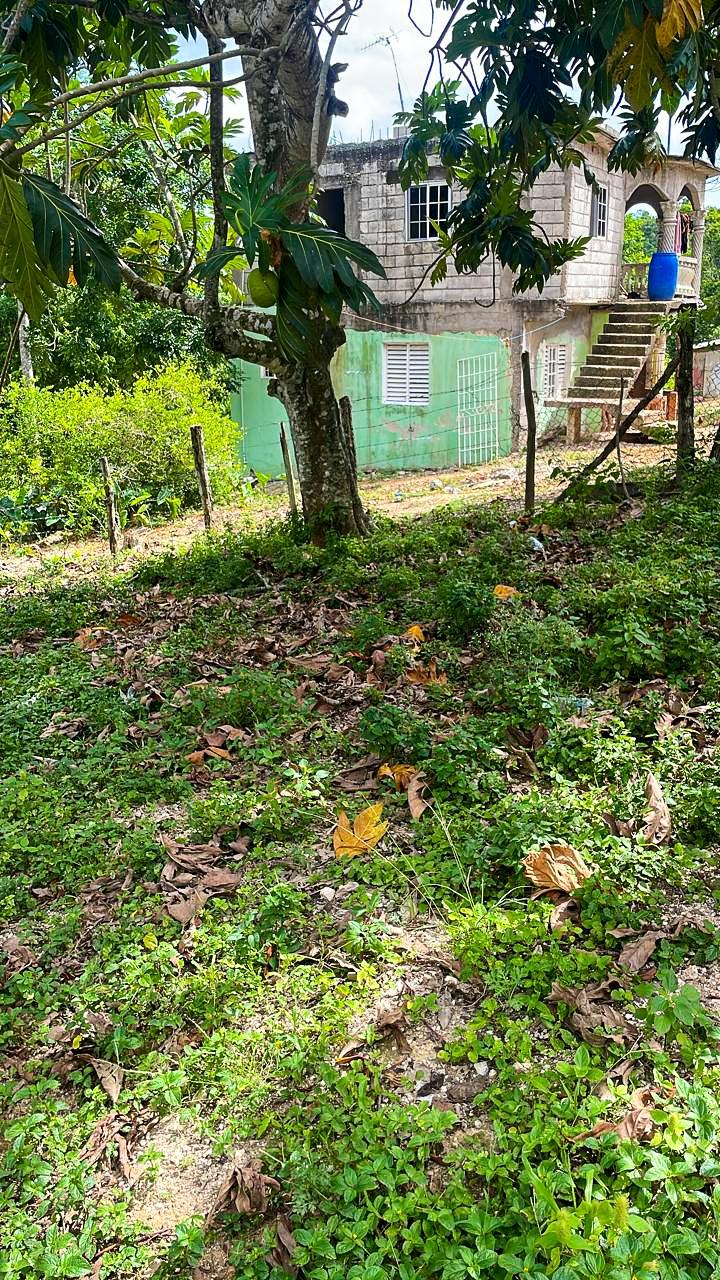 Fourteenth image of Bonavista, Santa Cruz in Santa Cruz, St. Elizabeth, Jamaica - property is For Sale