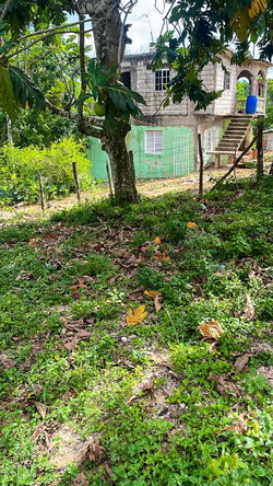 Fourteenth image of Bonavista, Santa Cruz in Santa Cruz, St. Elizabeth, Jamaica - property is For Sale