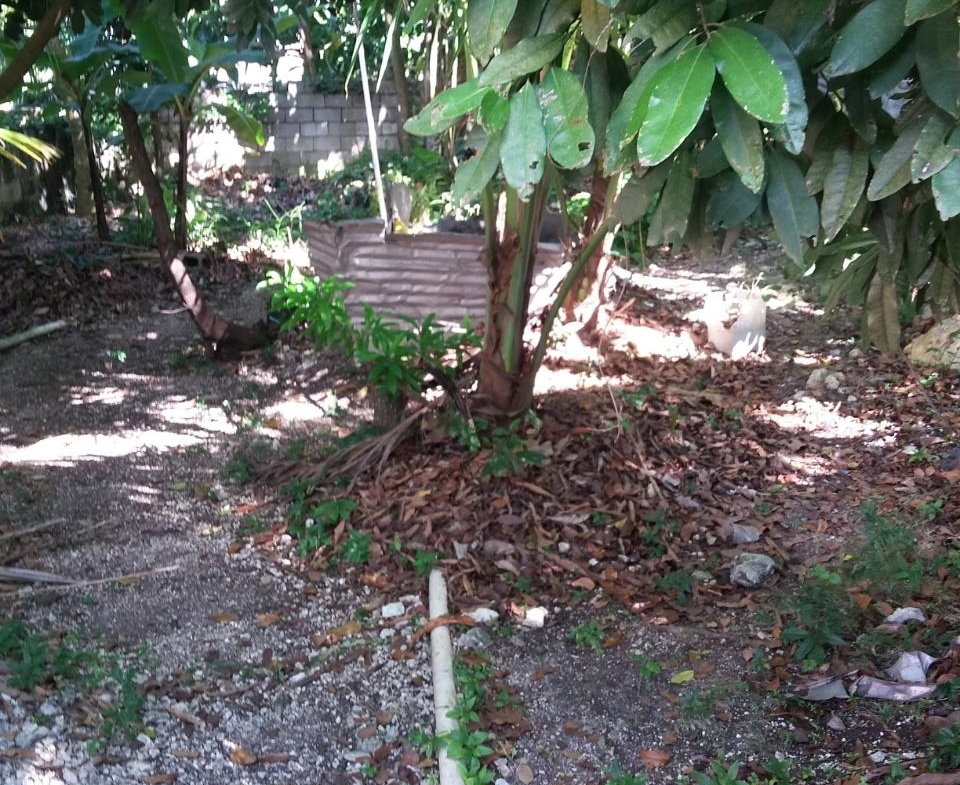 Nineteenth image of Farm Heights in Montego Bay, St. James, Jamaica - property is For Sale