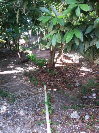 Nineteenth image of Farm Heights in Montego Bay, St. James, Jamaica - property is For Sale