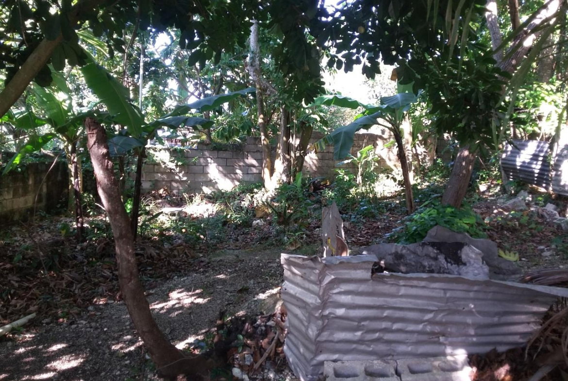 Twentieth image of Farm Heights in Montego Bay, St. James, Jamaica - property is For Sale