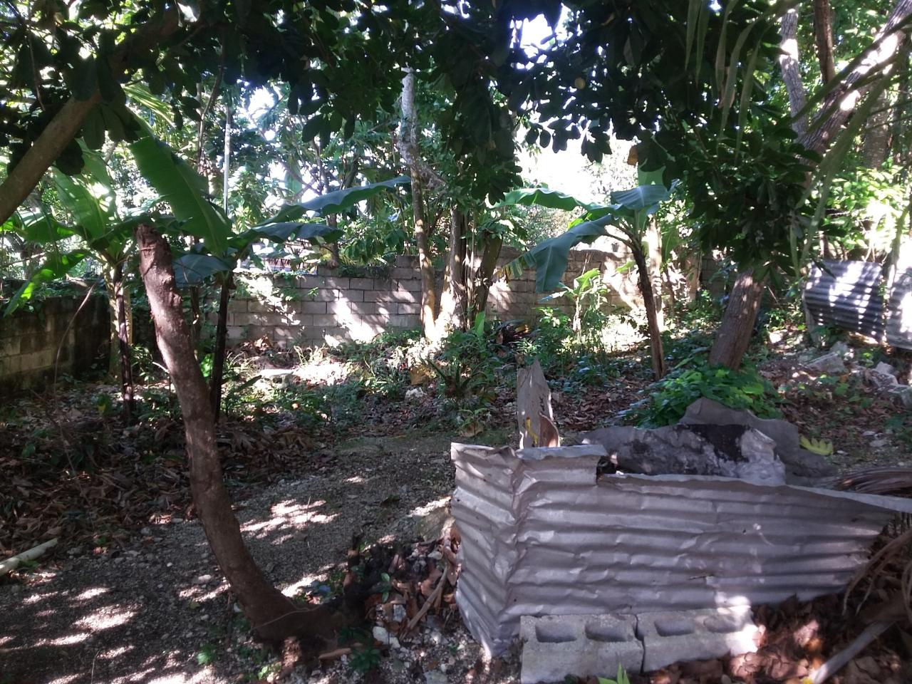 Twentieth image of Farm Heights in Montego Bay, St. James, Jamaica - property is For Sale
