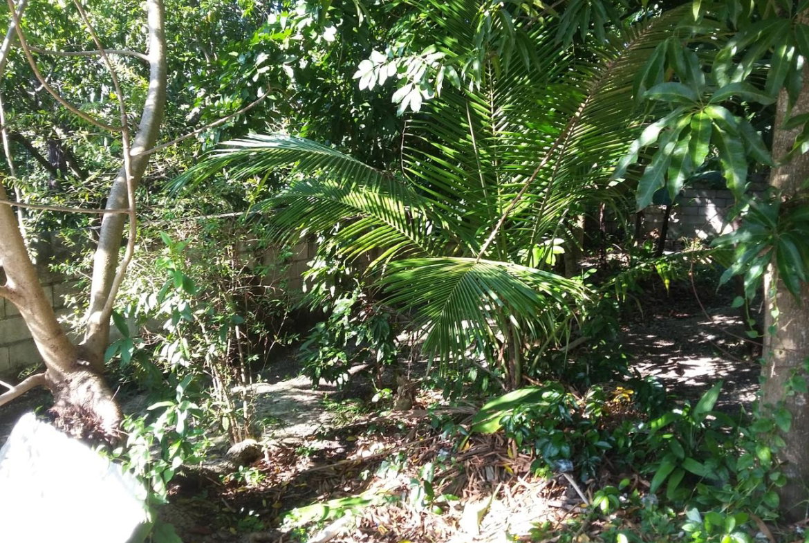 Twenty-First image of Farm Heights in Montego Bay, St. James, Jamaica - property is For Sale