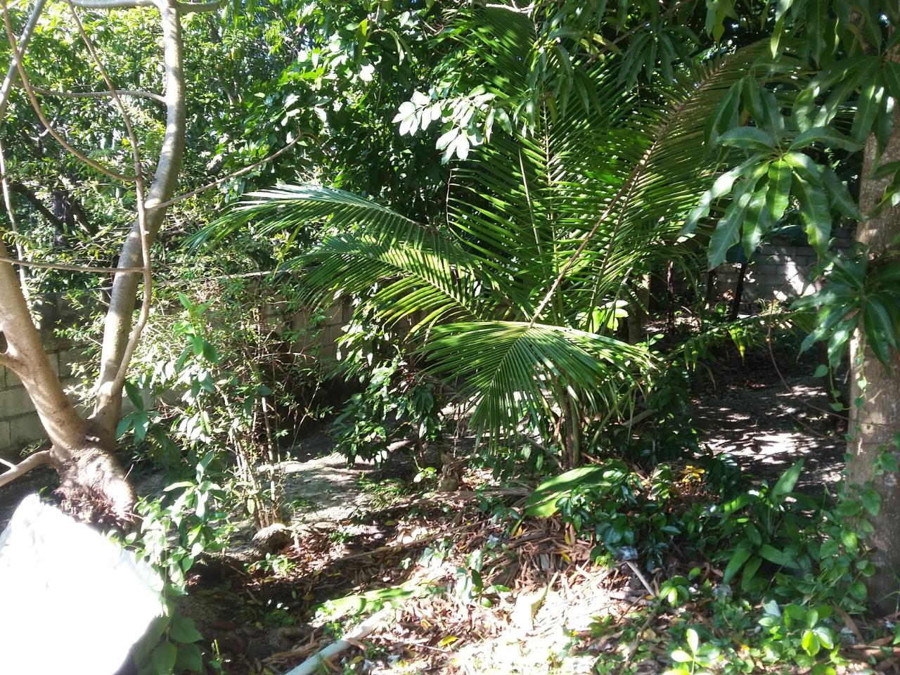 Twenty-First image of Farm Heights in Montego Bay, St. James, Jamaica - property is For Sale