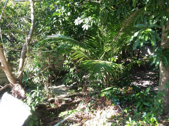 Twenty-First image of Farm Heights in Montego Bay, St. James, Jamaica - property is For Sale