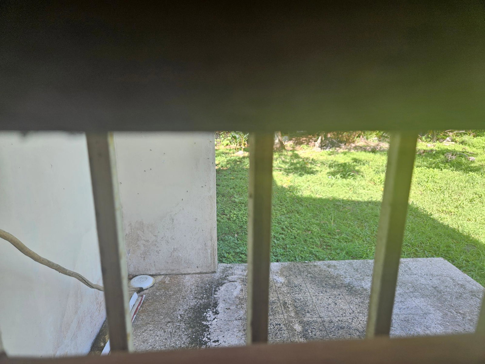 Charming-2-Bedroom-House-for-Sale-in-Grange-Hill-Westmoreland Twentieth image of Sterling in Grange Hill, Westmoreland, Jamaica - property is For Sale