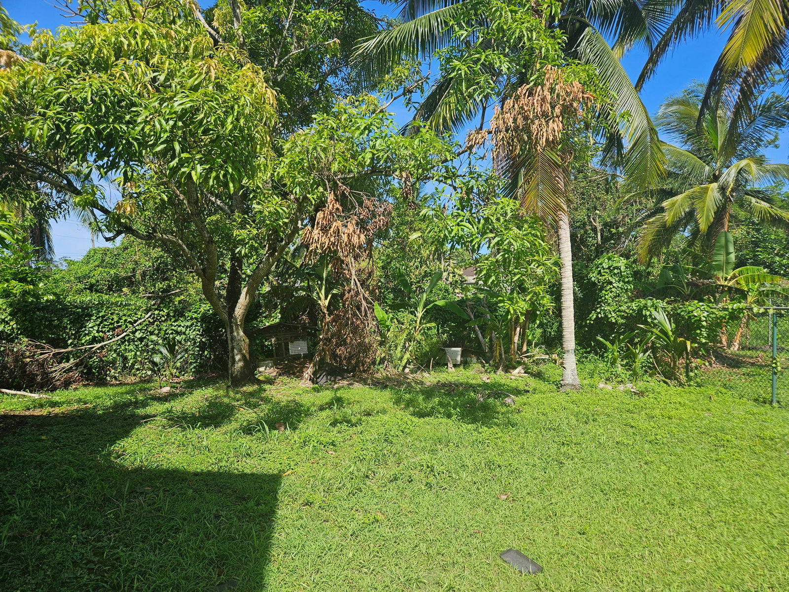 Charming-2-Bedroom-House-for-Sale-in-Grange-Hill-Westmoreland Sixth image of Sterling in Grange Hill, Westmoreland, Jamaica - property is For Sale