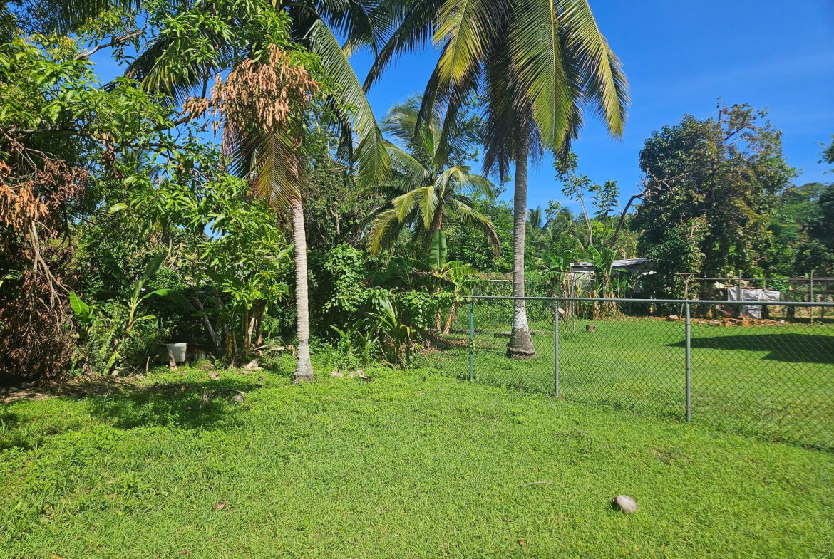 Seventh image of Sterling in Grange Hill, Westmoreland, Jamaica - property is For Sale