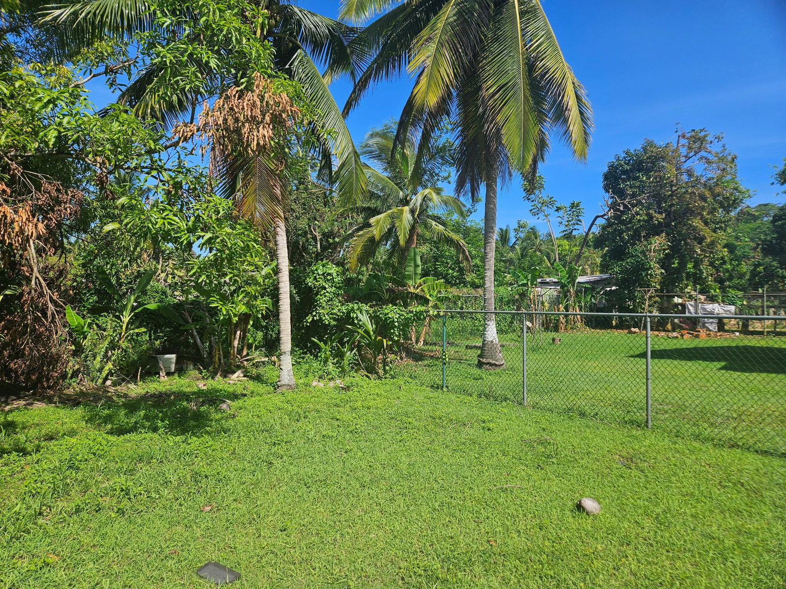Charming-2-Bedroom-House-for-Sale-in-Grange-Hill-Westmoreland Seventh image of Sterling in Grange Hill, Westmoreland, Jamaica - property is For Sale