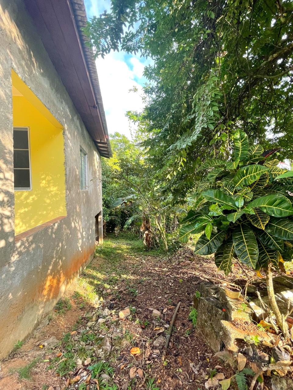 Fourteenth image of Palm District, Treadways in Linstead, St. Catherine, Jamaica - property is For Sale