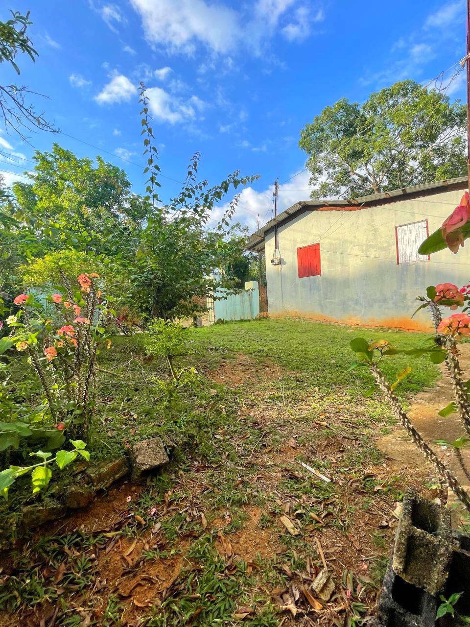 Fifteenth image of Palm District, Treadways in Linstead, St. Catherine, Jamaica - property is For Sale