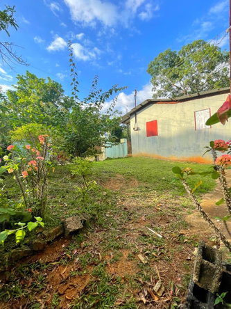 Fifteenth image of Palm District, Treadways in Linstead, St. Catherine, Jamaica - property is For Sale