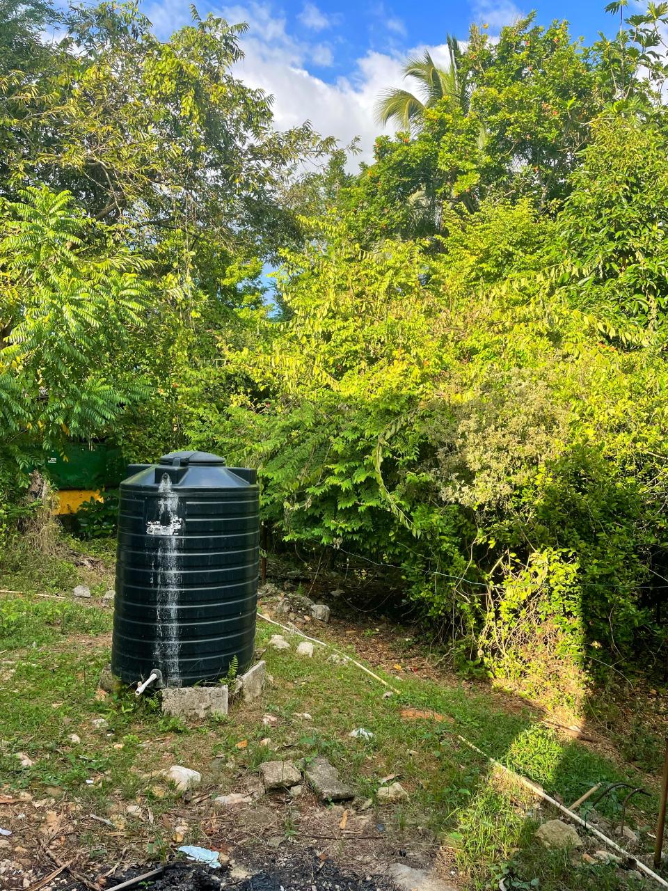 Sixteenth image of Palm District, Treadways in Linstead, St. Catherine, Jamaica - property is For Sale