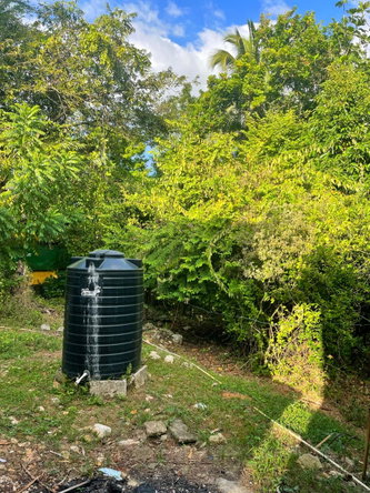 Sixteenth image of Palm District, Treadways in Linstead, St. Catherine, Jamaica - property is For Sale