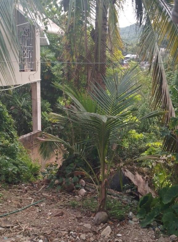 Fourth image of Lot 20 Riverside Drive, Pitfour in Pitfour Gardens, St. James, Jamaica - property is For Sale