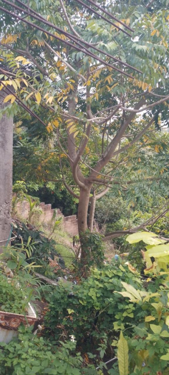 Charming-2-Bedroom-House-for-Sale-in-Pitfour-Montego-Bay Seventh image of Lot 20 Riverside Drive, Pitfour in Pitfour Gardens, St. James, Jamaica - property is For Sale