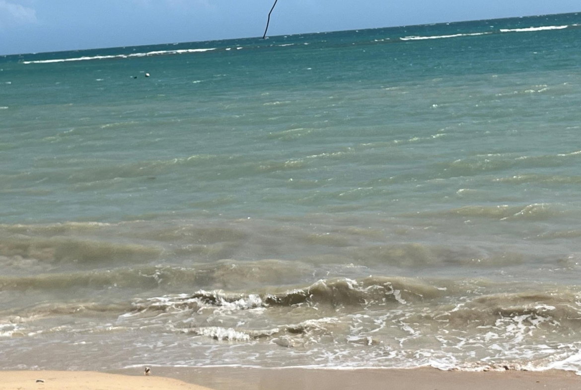 Third image of Lot #36 Culloden (beach Lands) wh in WHITEHOUSE, Westmoreland, Jamaica - property is For Sale