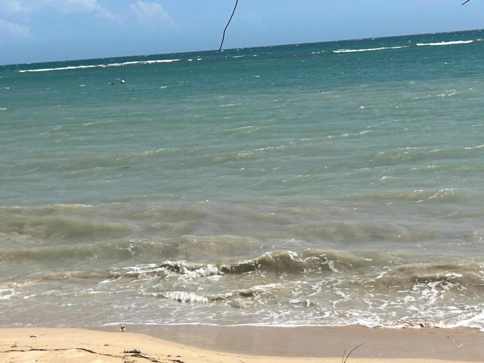 Third image of Lot #36 Culloden (beach Lands) wh in WHITEHOUSE, Westmoreland, Jamaica - property is For Sale