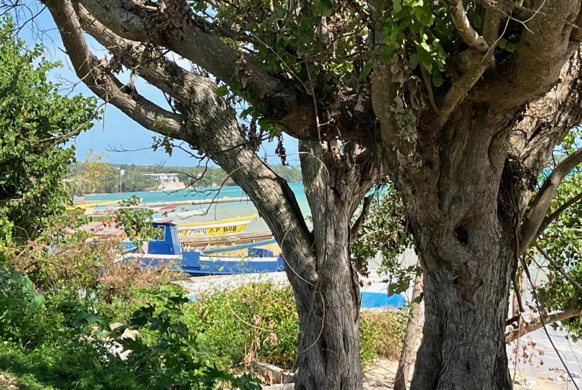 Twenty-First image of Lot #36 Culloden (beach Lands) wh in WHITEHOUSE, Westmoreland, Jamaica - property is For Sale