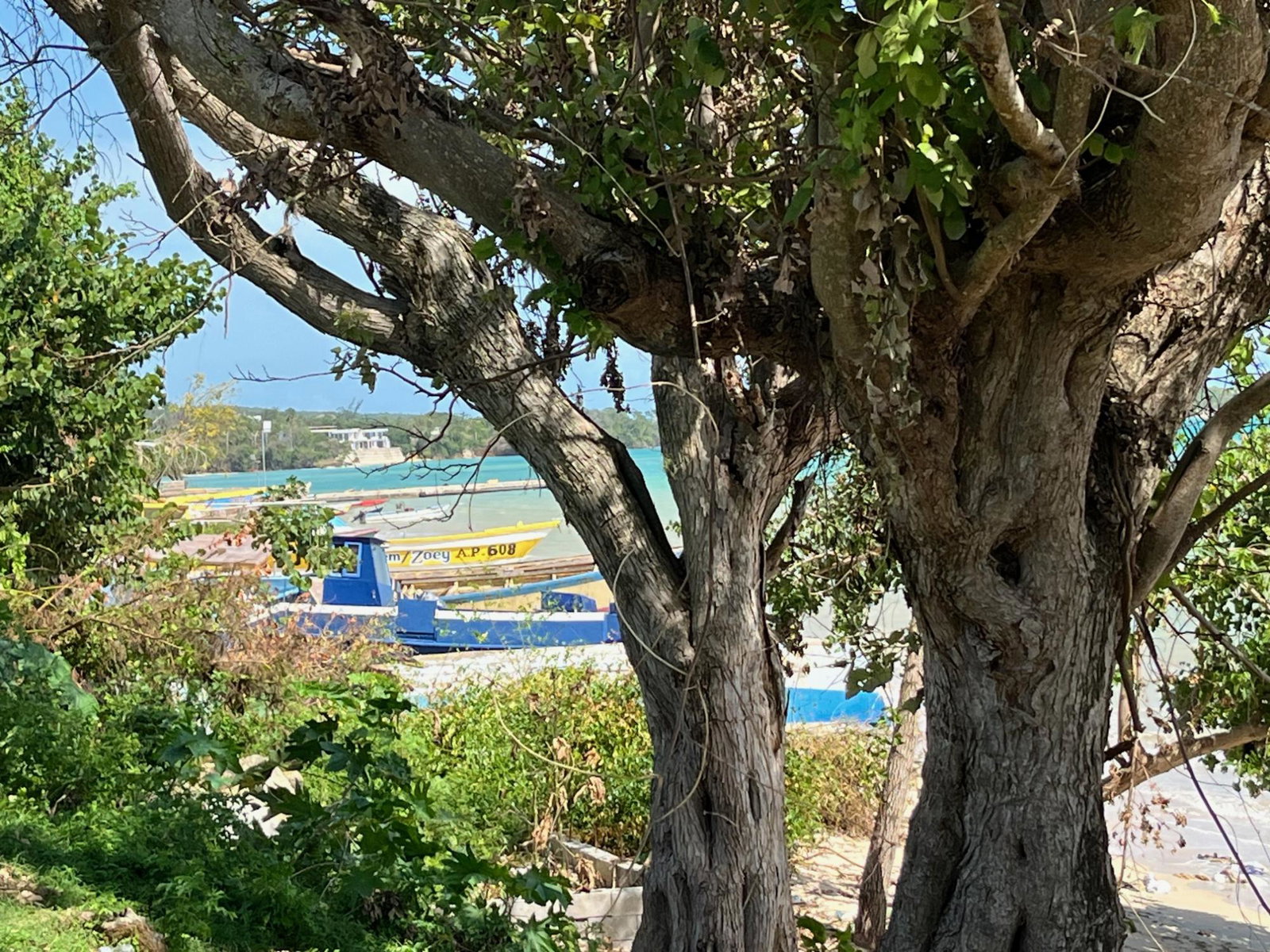 Twenty-First image of Lot #36 Culloden (beach Lands) wh in WHITEHOUSE, Westmoreland, Jamaica - property is For Sale