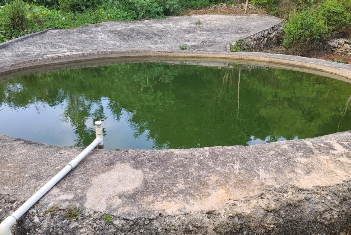 Twentieth image of Mt. Pleasant in Mount Pleasant, Clarendon, Jamaica - property is For Sale