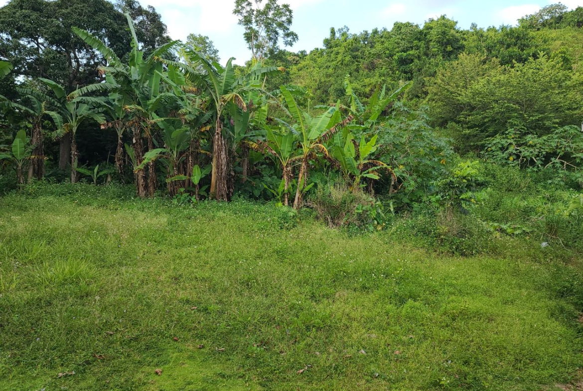 Third image of Mt. Pleasant in Mount Pleasant, Clarendon, Jamaica - property is For Sale