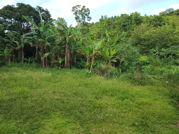 Third image of Mt. Pleasant in Mount Pleasant, Clarendon, Jamaica - property is For Sale