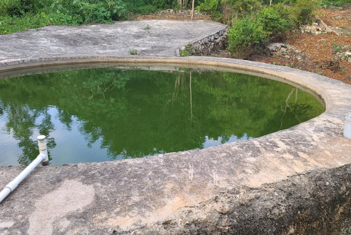 Twenty-First image of Mt. Pleasant in Mount Pleasant, Clarendon, Jamaica - property is For Sale