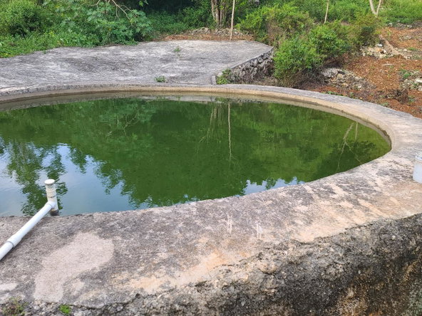 Twenty-First image of Mt. Pleasant in Mount Pleasant, Clarendon, Jamaica - property is For Sale