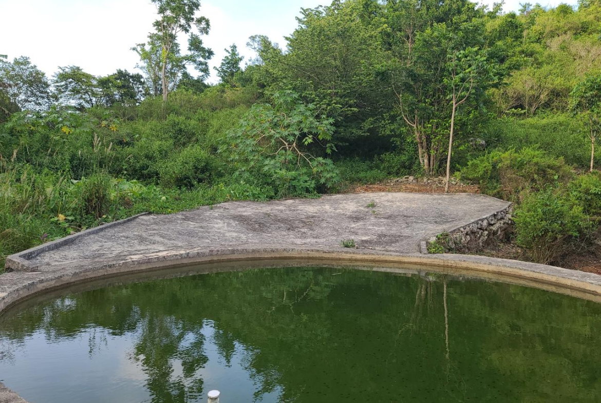 Twenty-Second image of Mt. Pleasant in Mount Pleasant, Clarendon, Jamaica - property is For Sale
