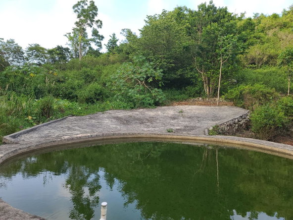 Twenty-Second image of Mt. Pleasant in Mount Pleasant, Clarendon, Jamaica - property is For Sale