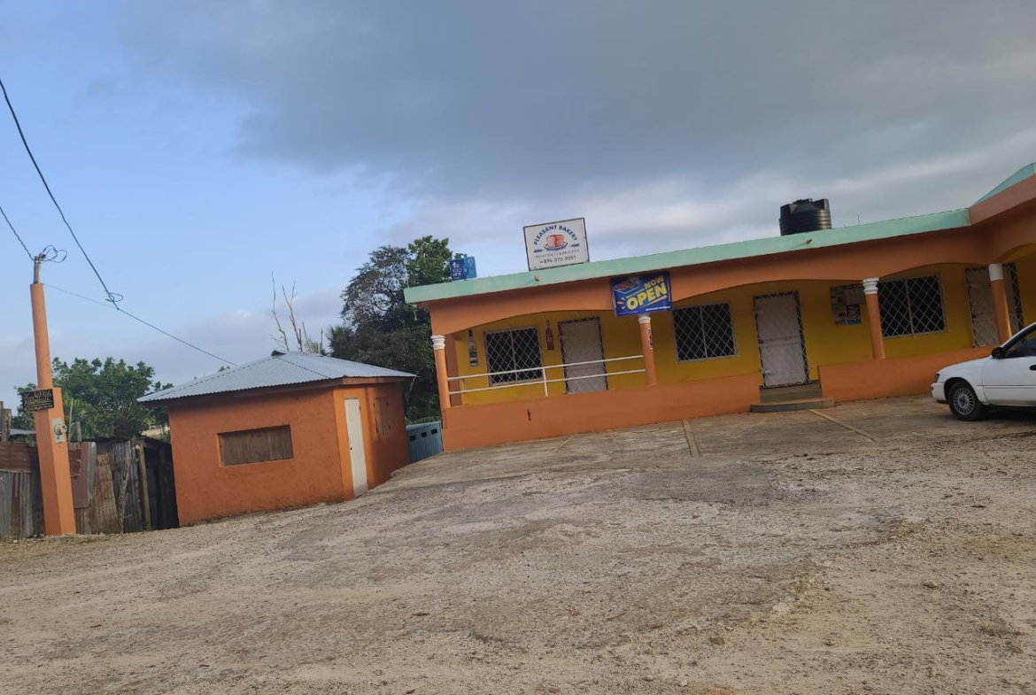 Twenty-Fifth image of Mt. Pleasant in Mount Pleasant, Clarendon, Jamaica - property is For Sale