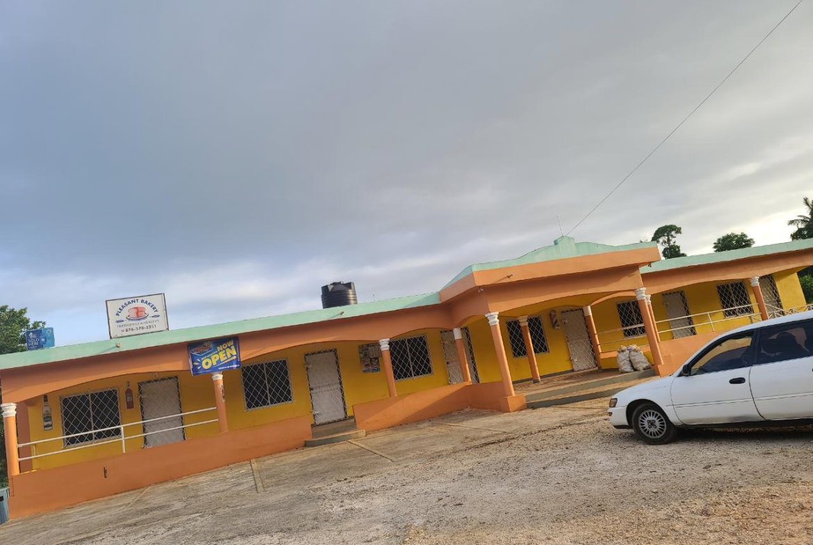 Twenty-Sixth image of Mt. Pleasant in Mount Pleasant, Clarendon, Jamaica - property is For Sale