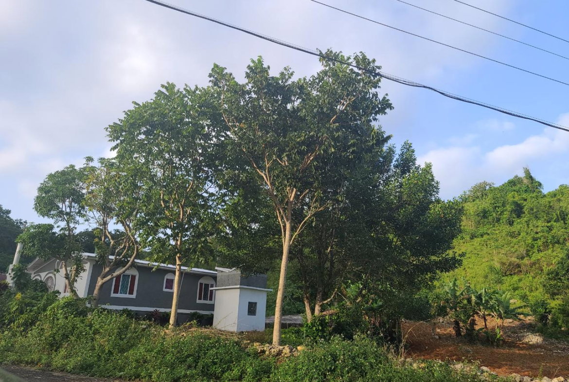 Twenty-Eighth image of Mt. Pleasant in Mount Pleasant, Clarendon, Jamaica - property is For Sale