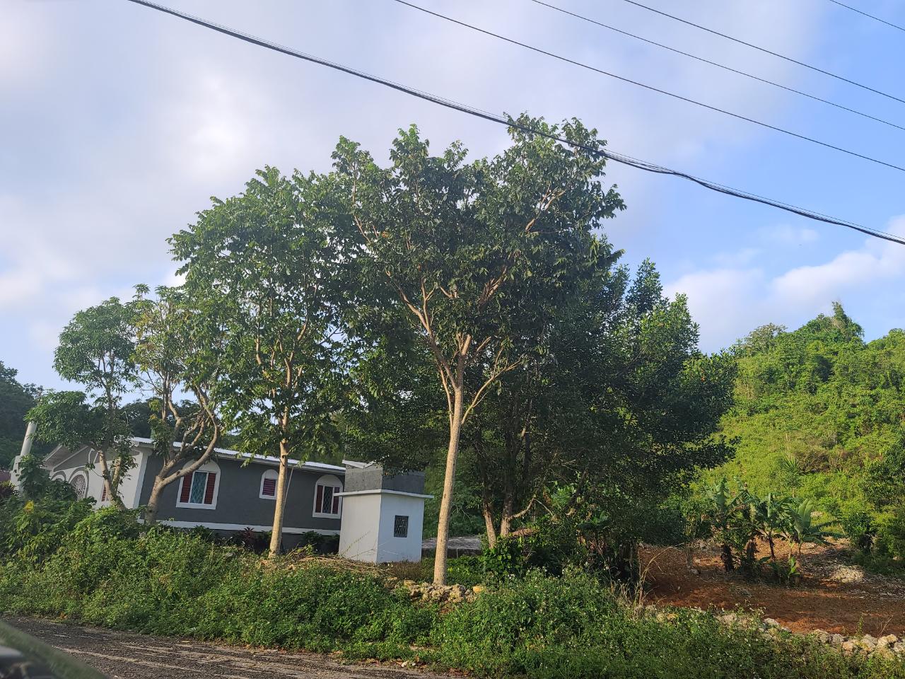 Twenty-Eighth image of Mt. Pleasant in Mount Pleasant, Clarendon, Jamaica - property is For Sale