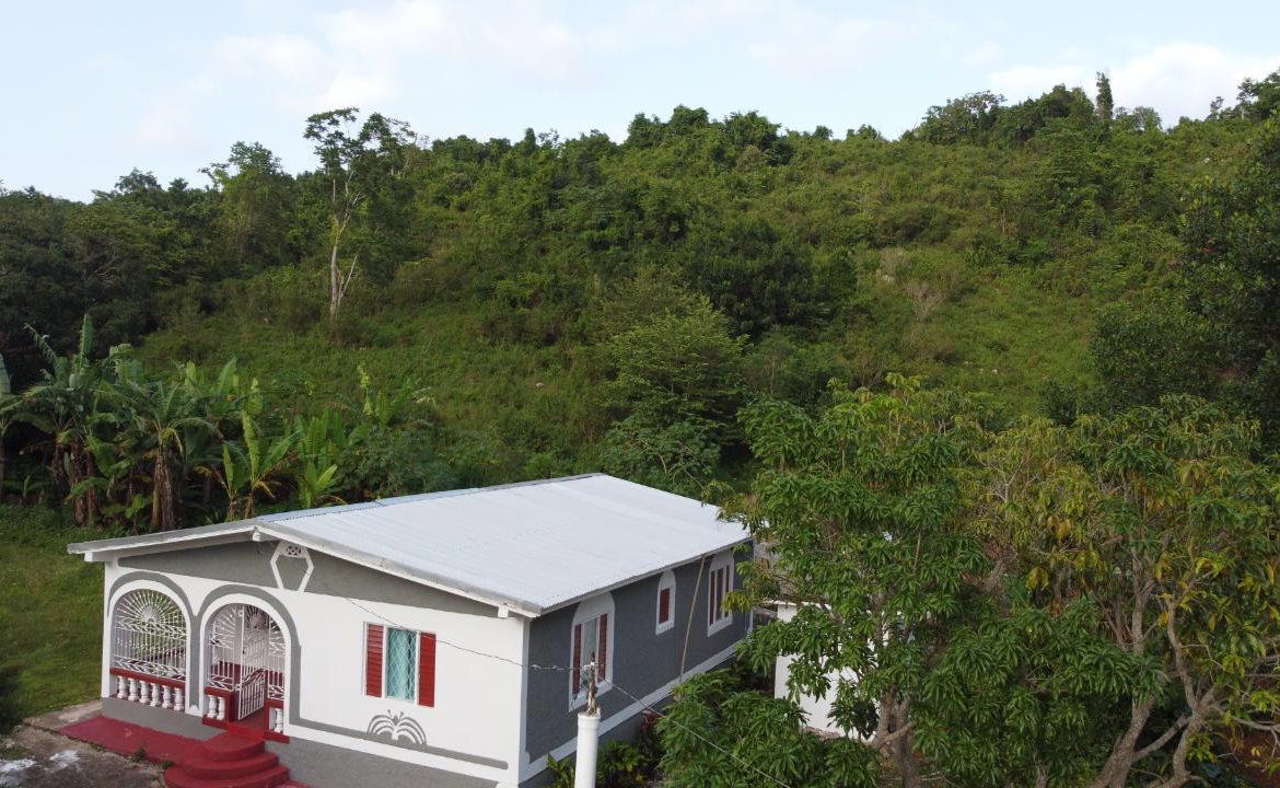 Thirtieth image of Mt. Pleasant in Mount Pleasant, Clarendon, Jamaica - property is For Sale