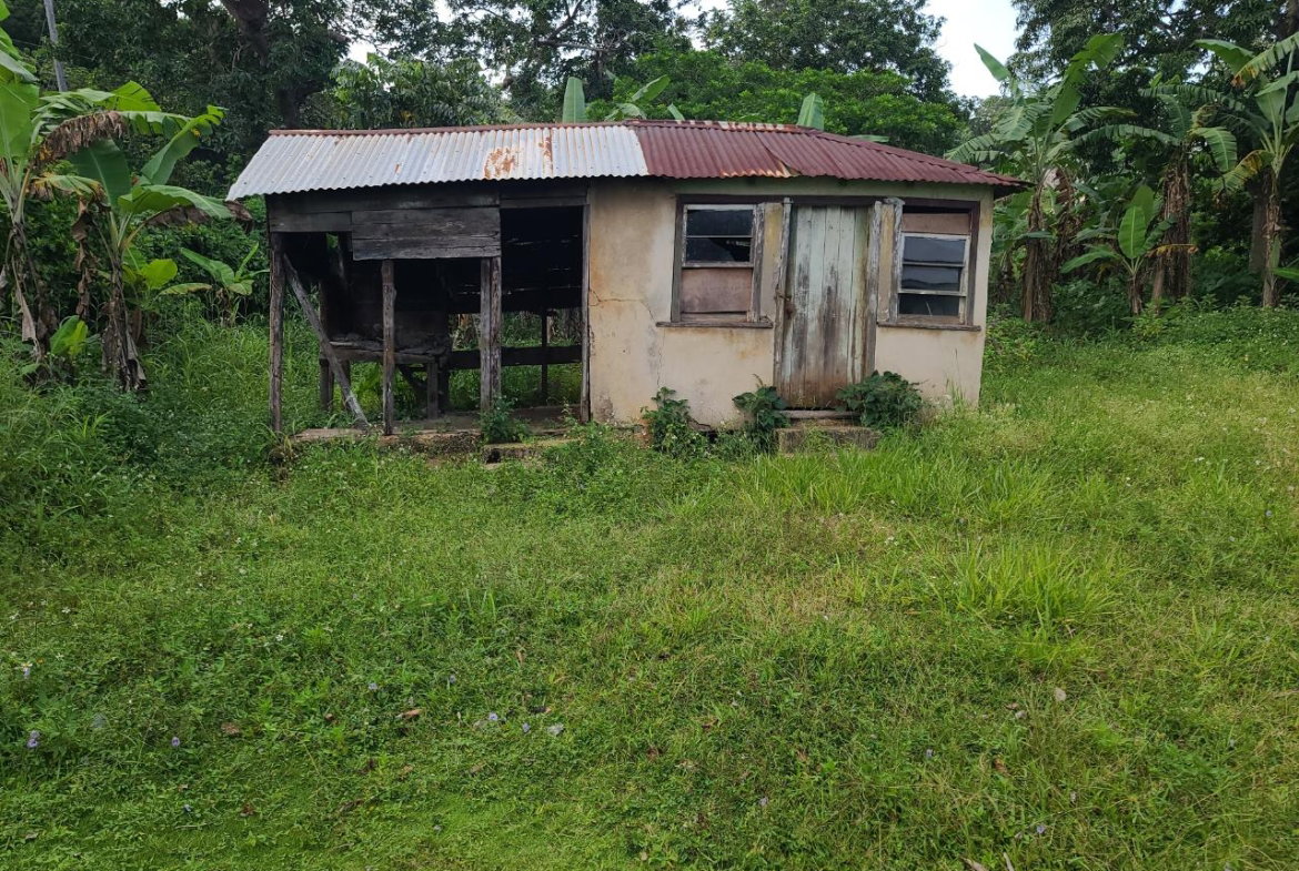 Fourth image of Mt. Pleasant in Mount Pleasant, Clarendon, Jamaica - property is For Sale