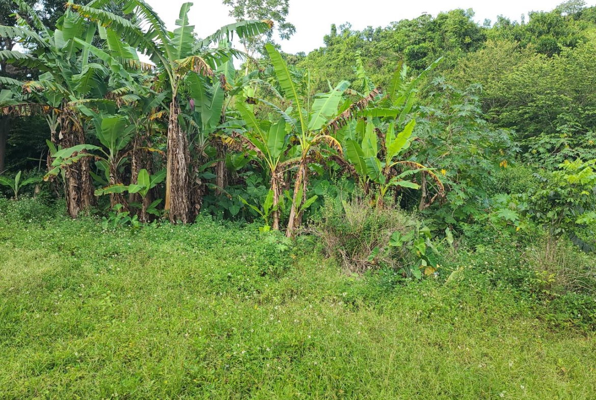 Fifth image of Mt. Pleasant in Mount Pleasant, Clarendon, Jamaica - property is For Sale